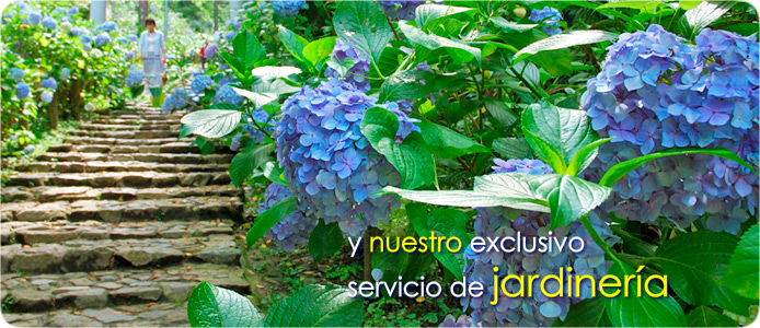 Servicio de jardineria profesionales en Madrid.