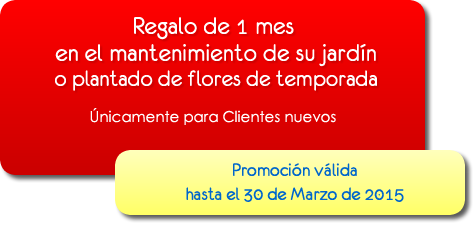 Ofertas y promociones en mantenimiento de piscinas.