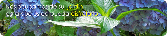 Diseño y mantenimiento de jardines y sistemas de riego en Madrid.